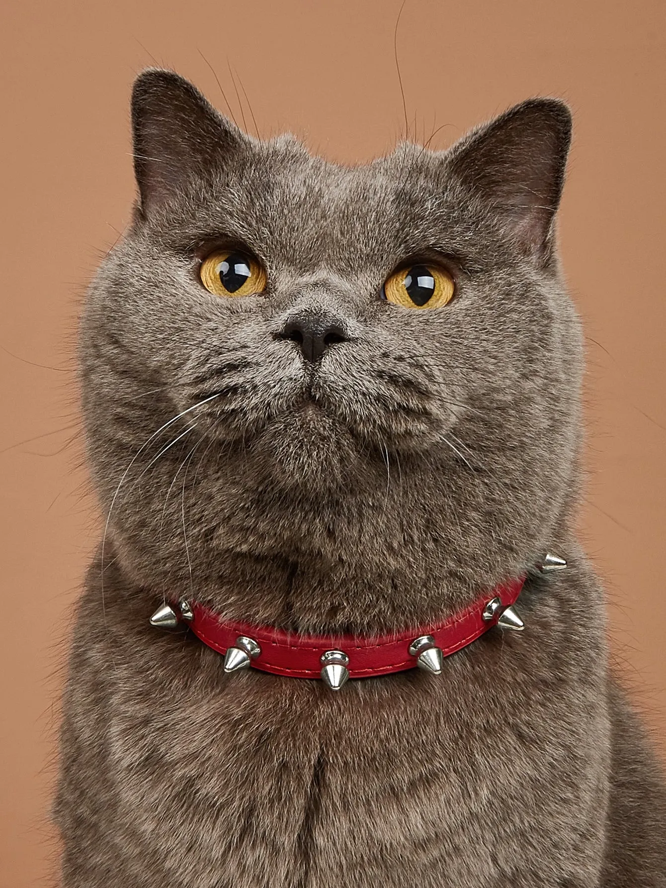 1pc Stud Decor Pet Collar