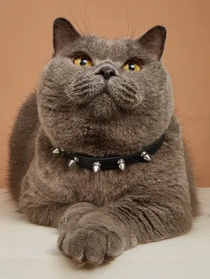 1pc Stud Decor Pet Collar