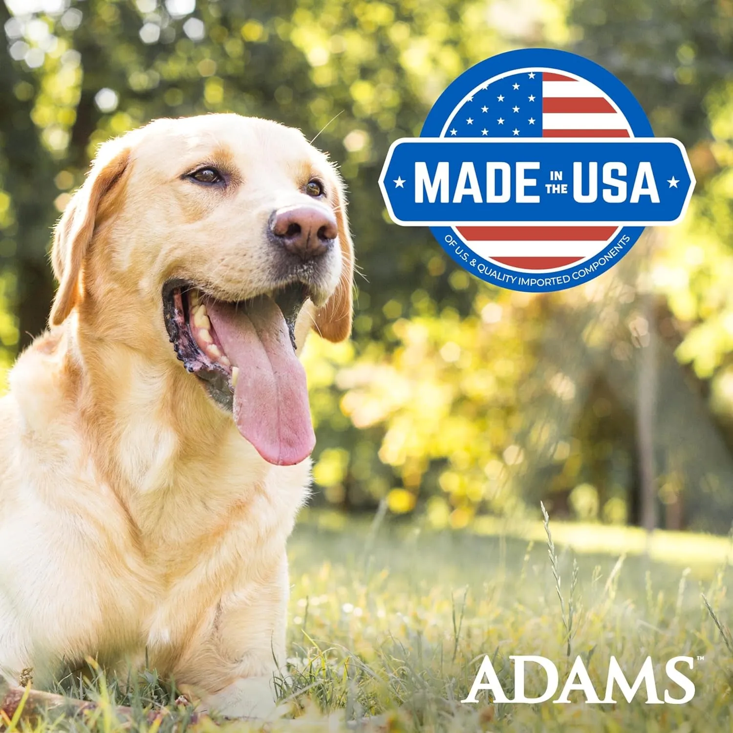 Adams Plus Flea & Tick Shampoo - Kills Fleas, Ticks & Lice, Soothing Aloe, 12oz