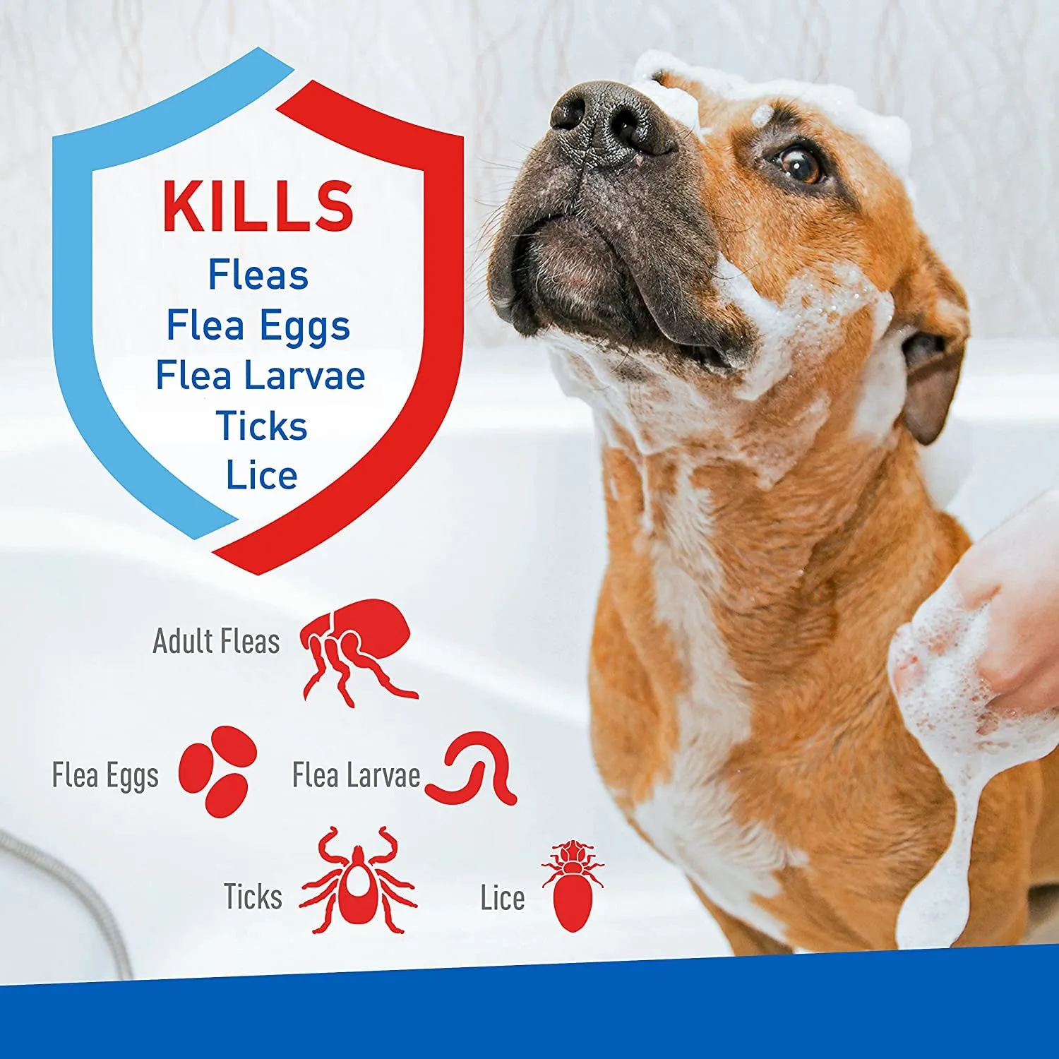 Adams Plus Flea & Tick Shampoo - Kills Fleas, Ticks & Lice, Soothing Aloe, 12oz