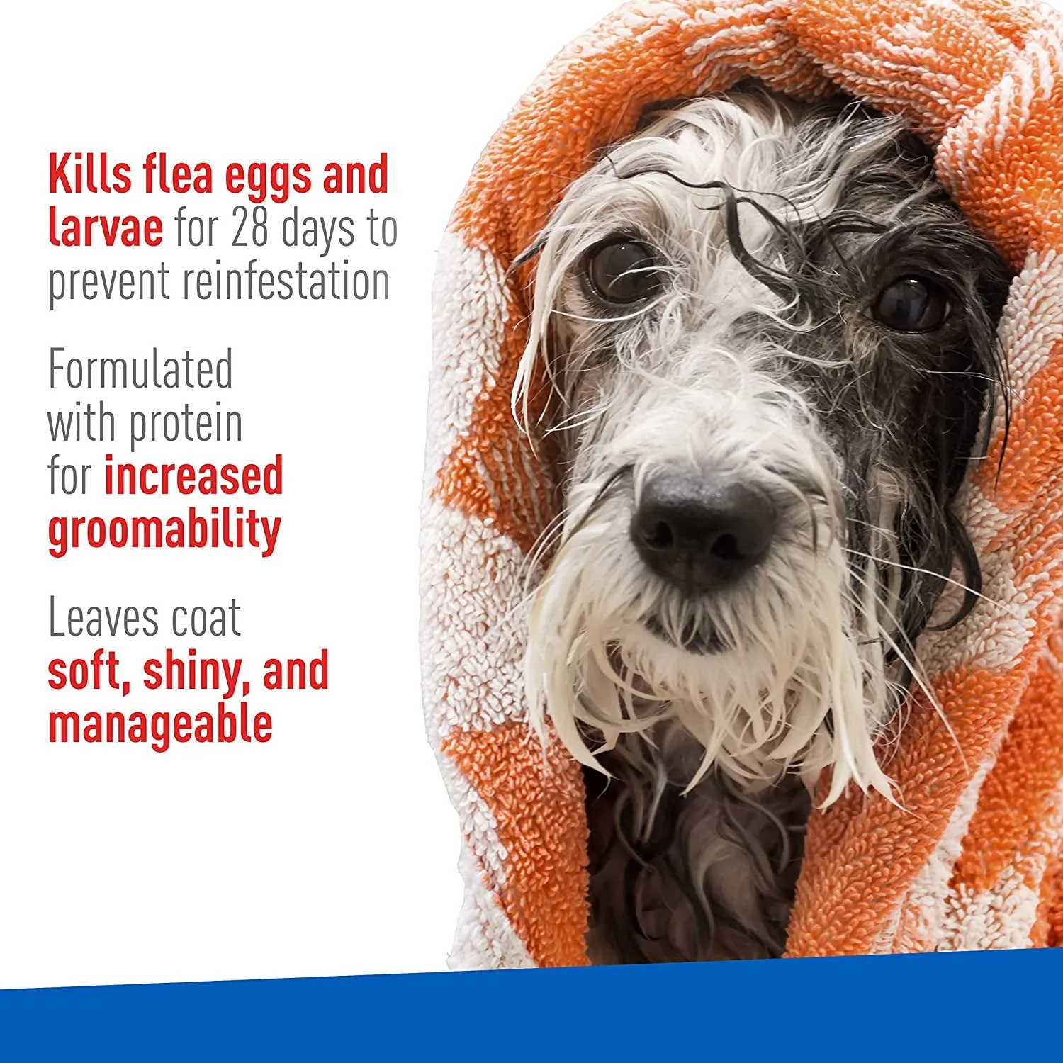 Adams Plus Flea & Tick Shampoo - Kills Fleas, Ticks & Lice, Soothing Aloe, 12oz