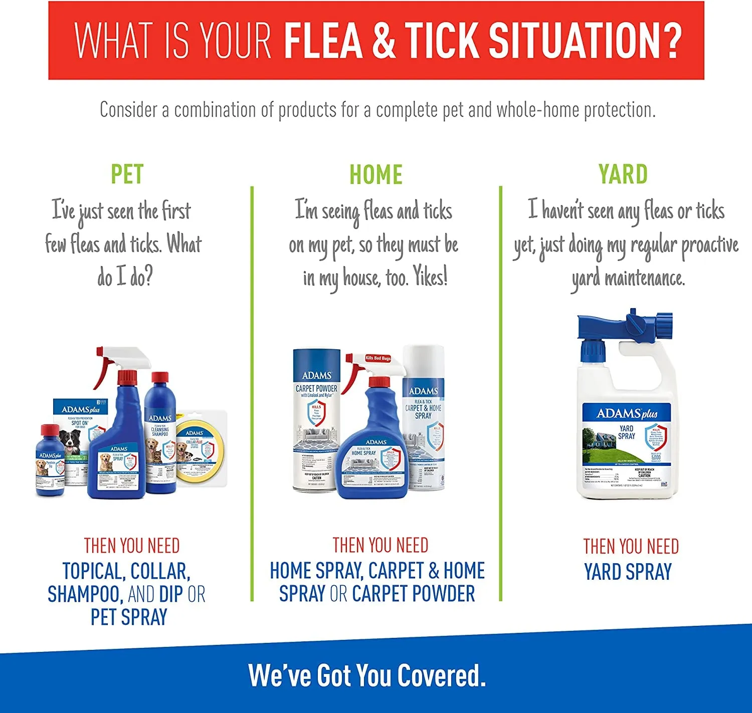 Adams Plus Flea & Tick Shampoo - Kills Fleas, Ticks & Lice, Soothing Aloe, 12oz