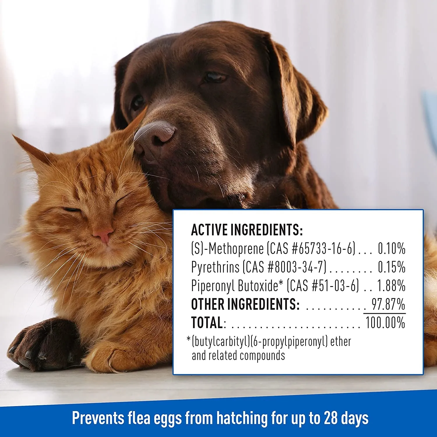 Adams Plus Flea & Tick Shampoo - Kills Fleas, Ticks & Lice, Soothing Aloe, 12oz