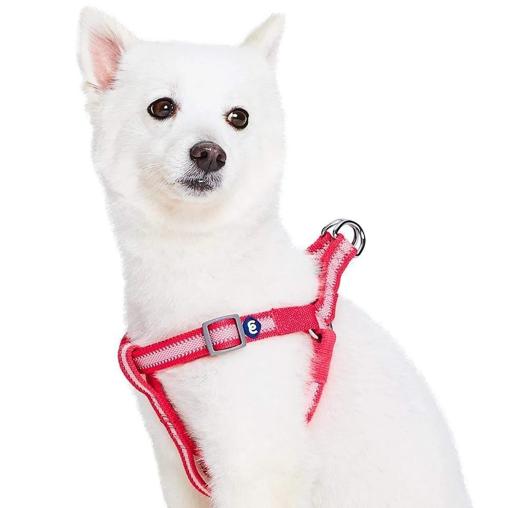 Back to Basics Reflective Step-in Dog Harness
