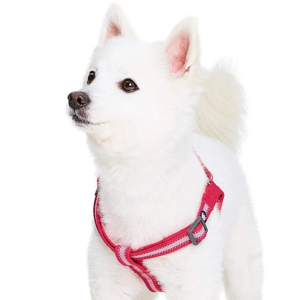 Back to Basics Reflective Step-in Dog Harness
