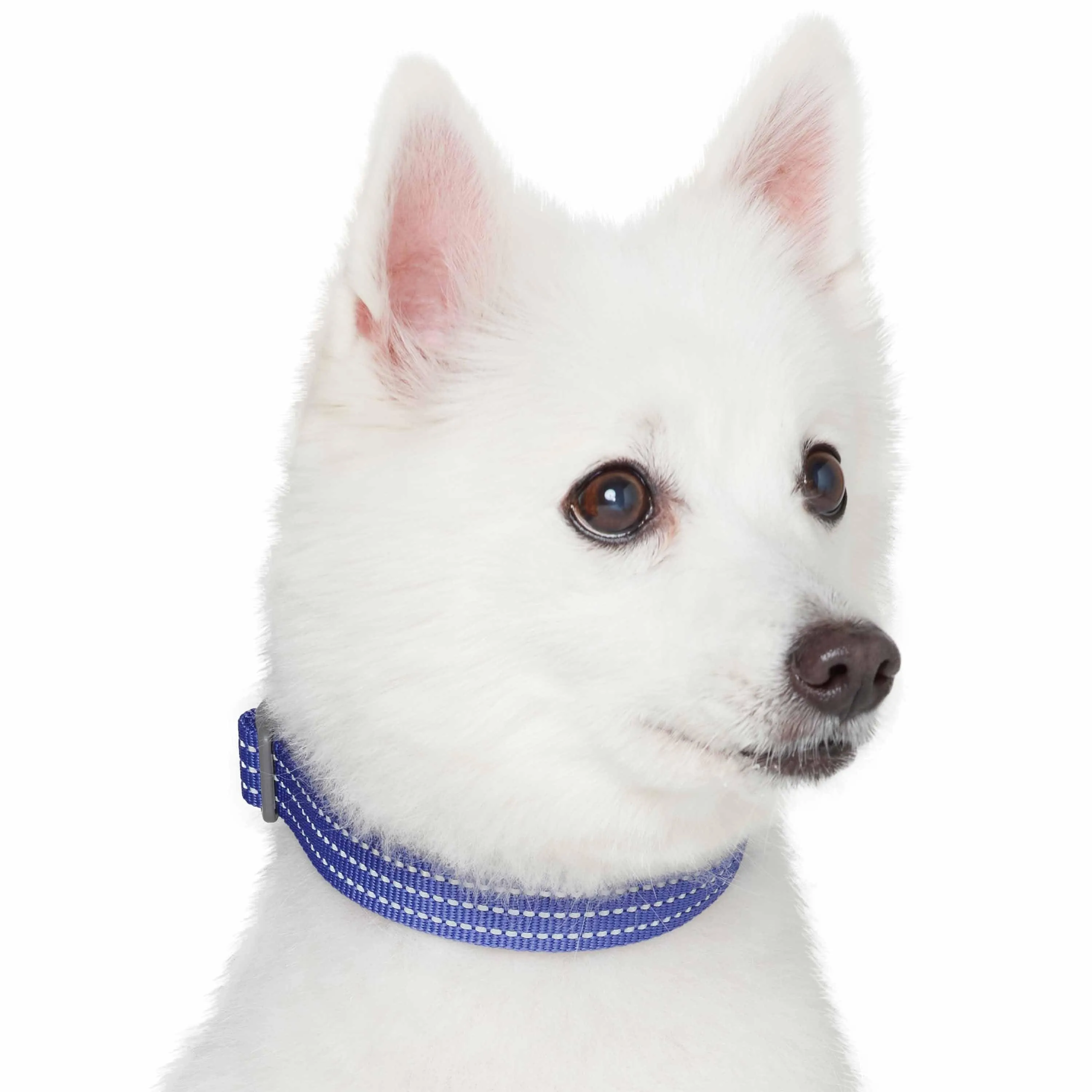 Better Basics Reflective Dog Collar