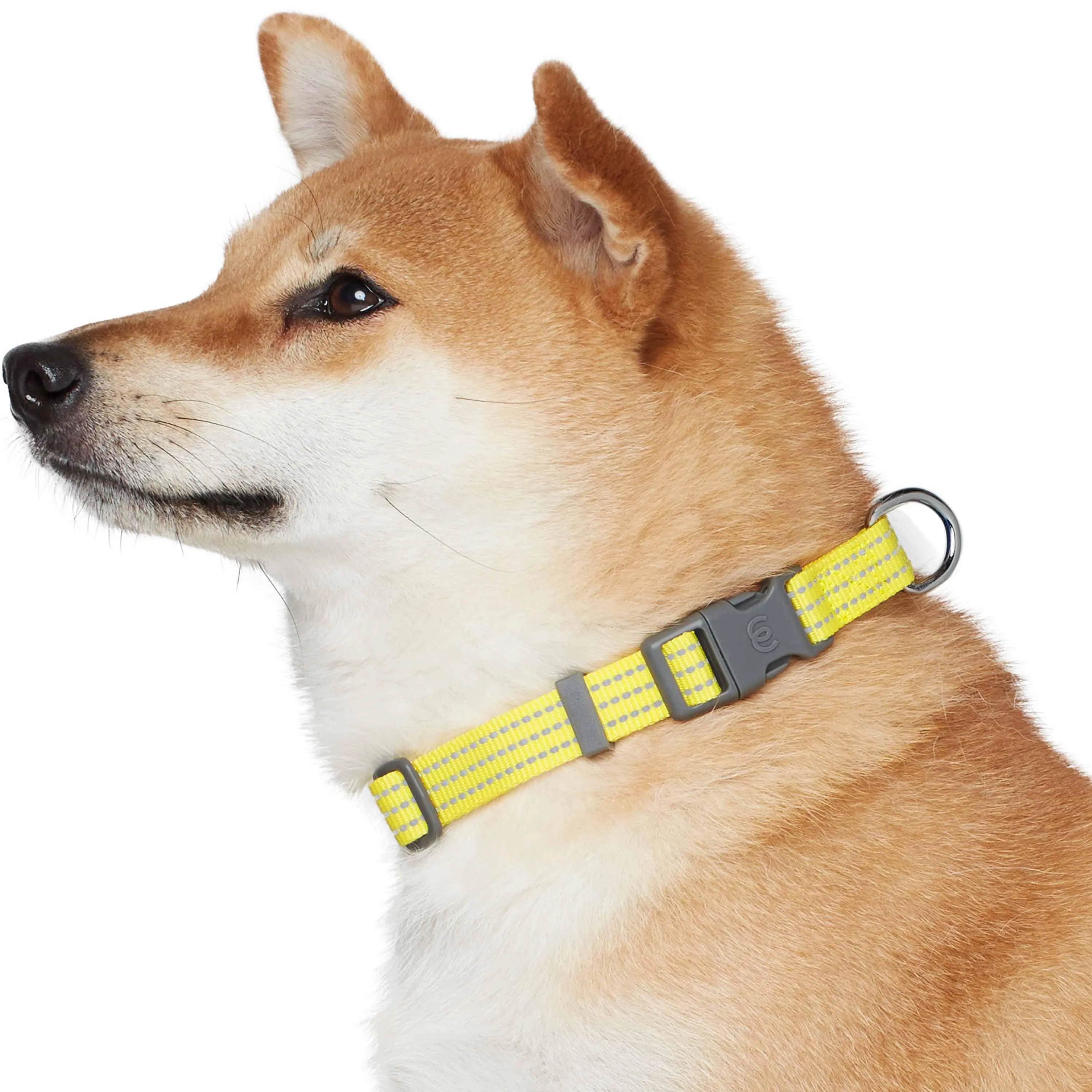 Better Basics Reflective Dog Collar