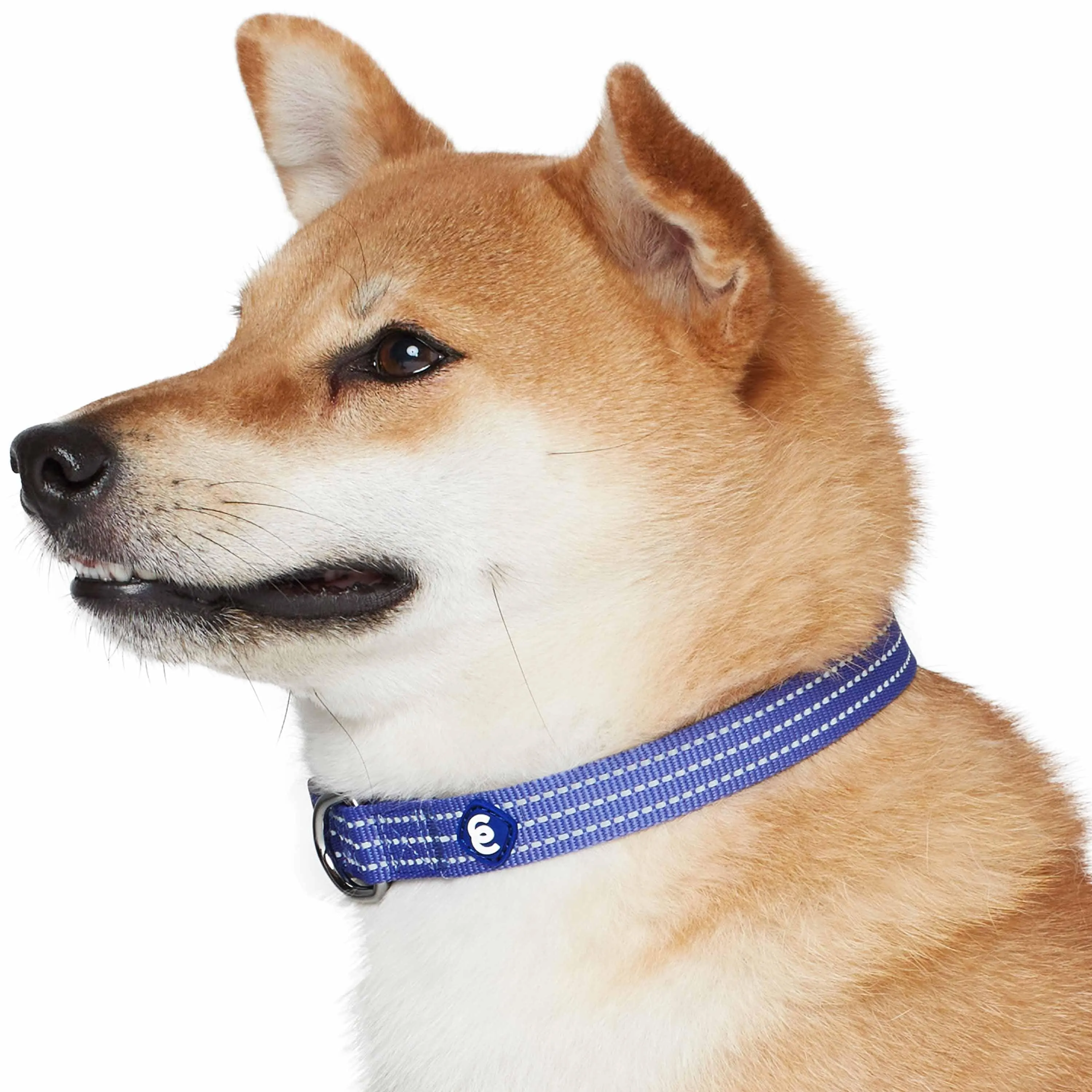 Better Basics Reflective Dog Collar