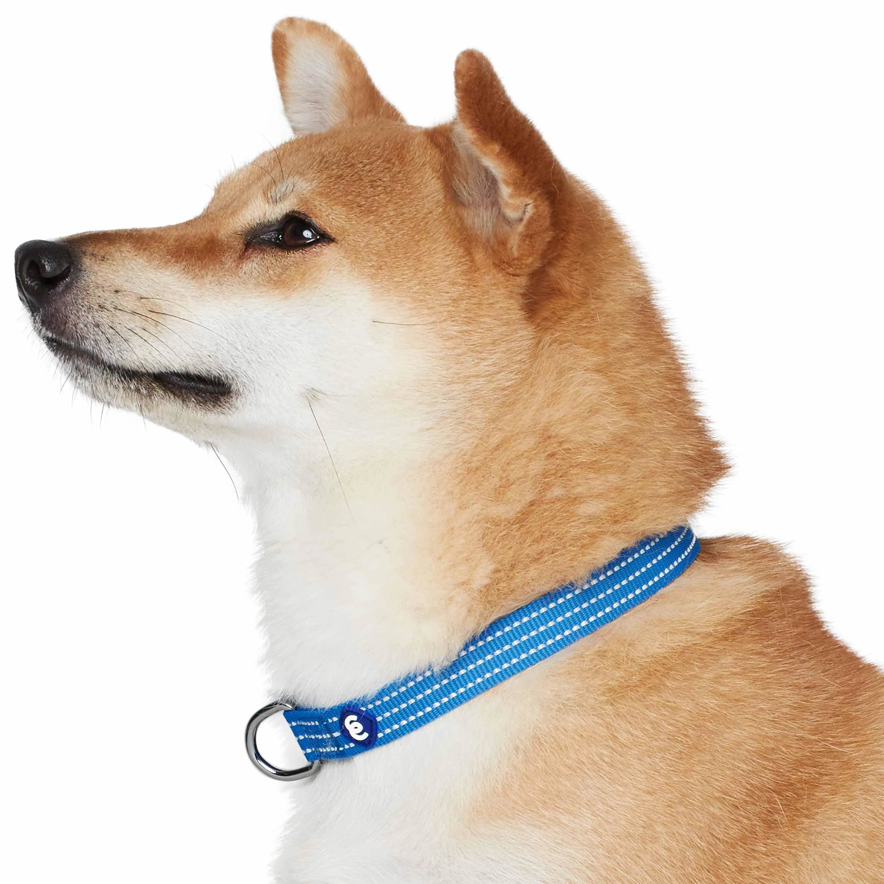 Better Basics Reflective Dog Collar