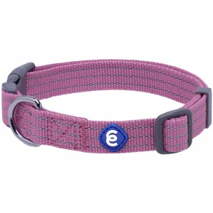 Better Basics Reflective Dog Collar