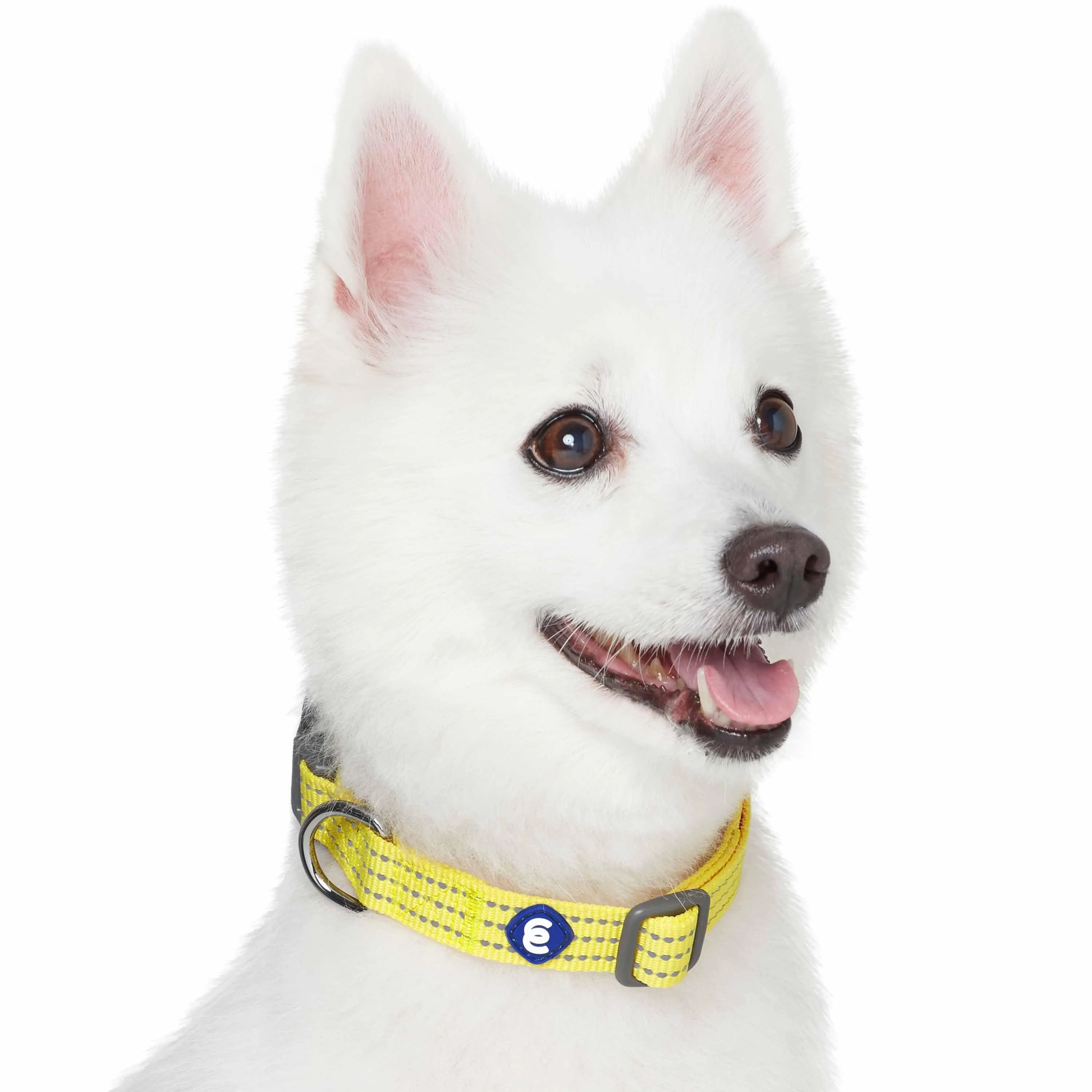 Better Basics Reflective Dog Collar