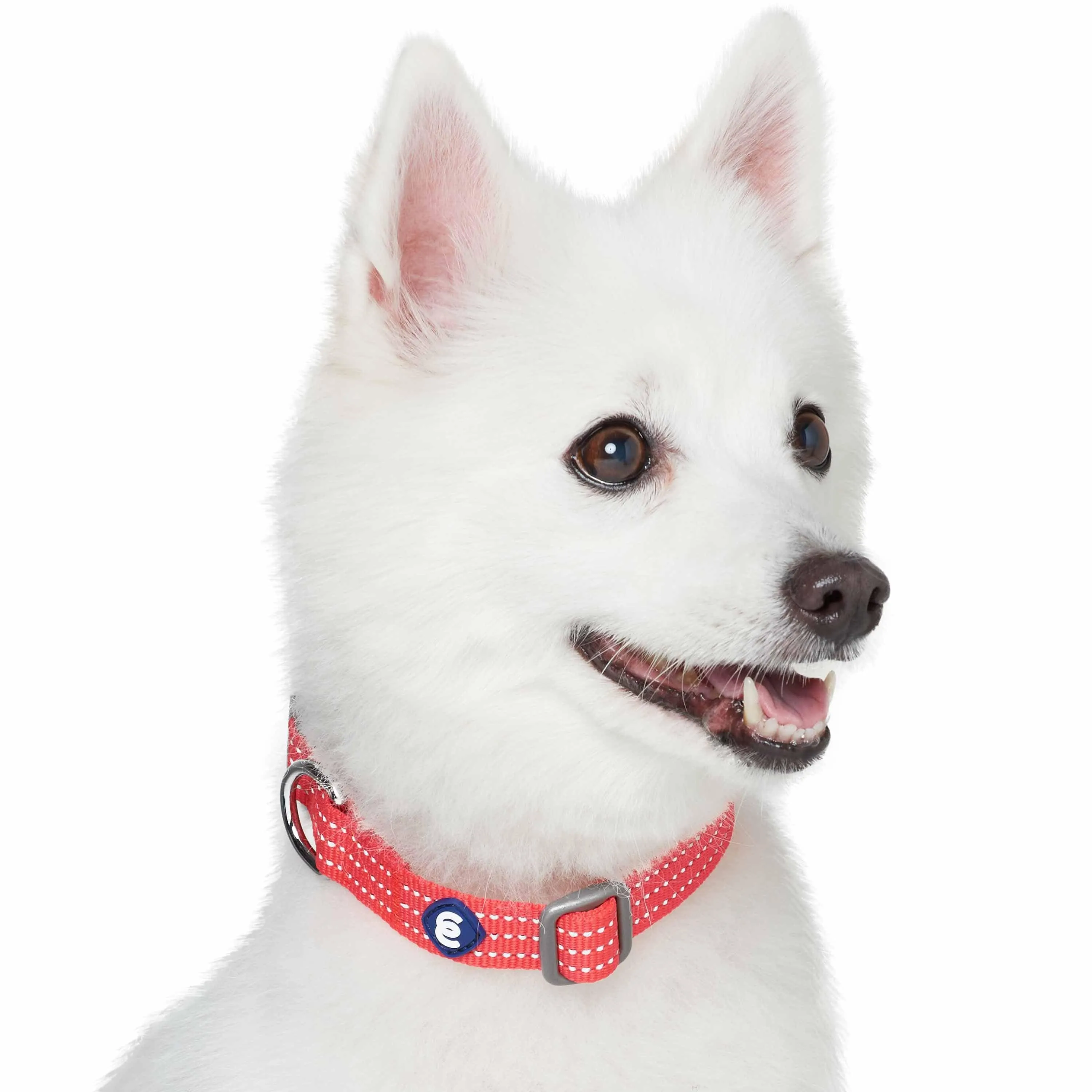 Better Basics Reflective Dog Collar