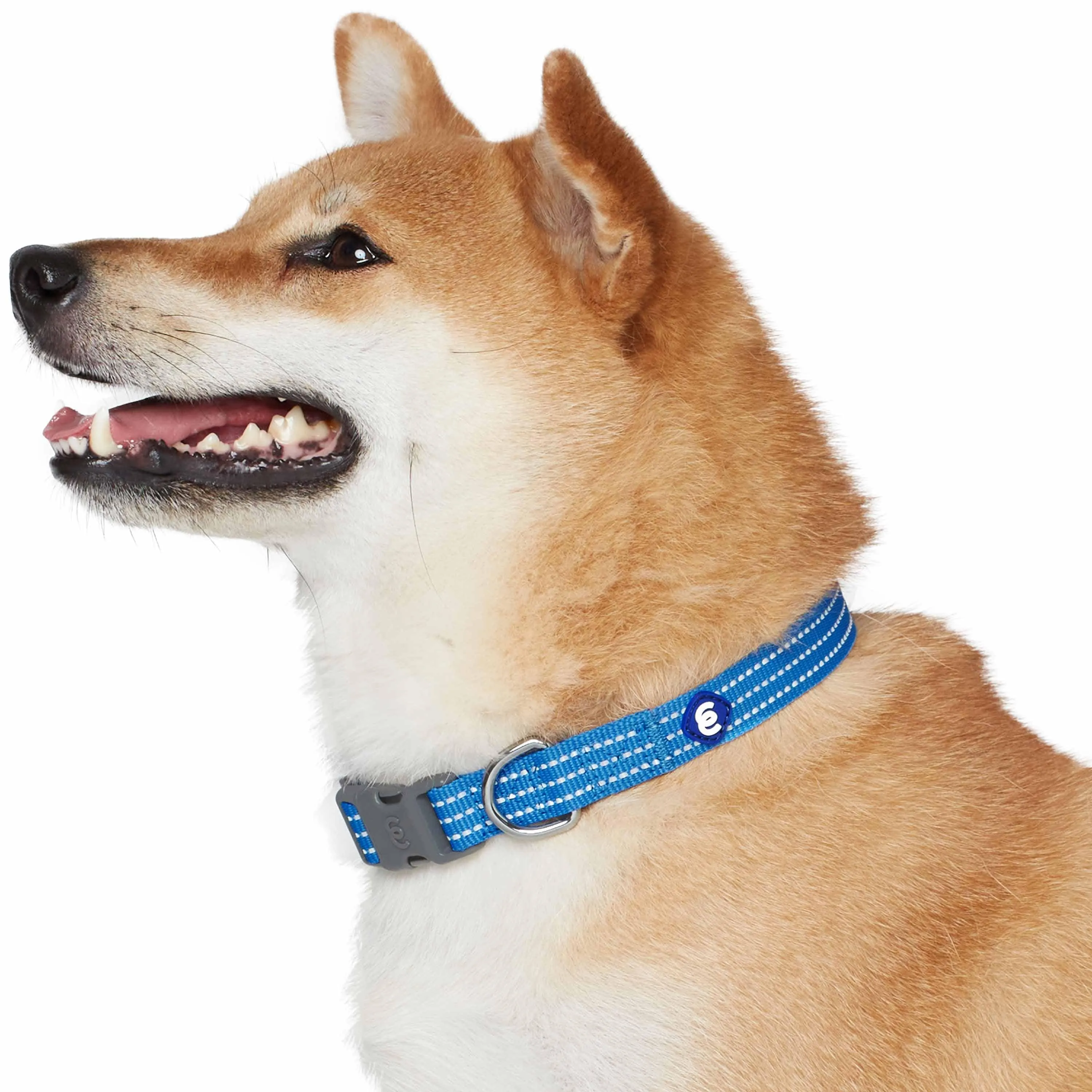 Better Basics Reflective Dog Collar