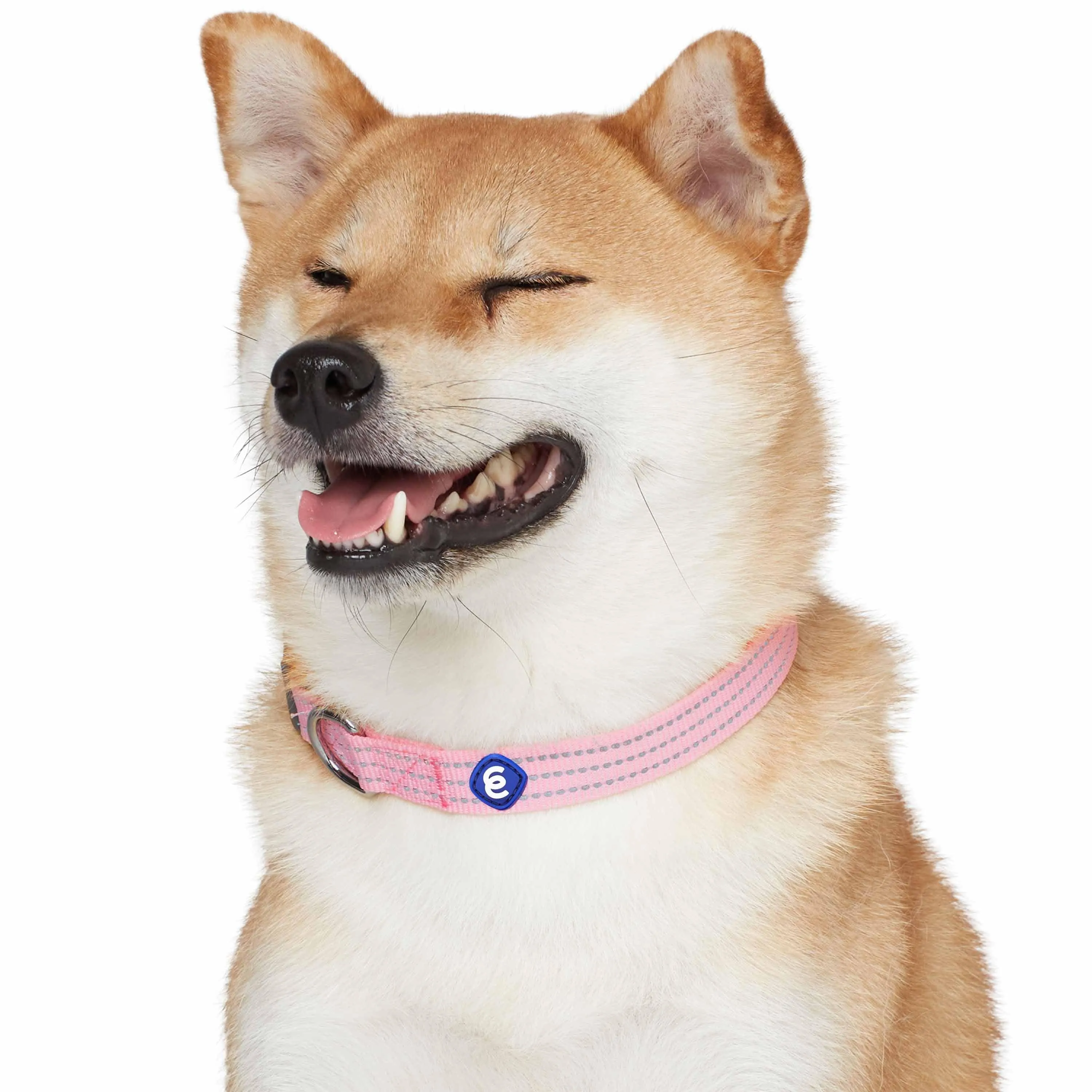 Better Basics Reflective Dog Collar