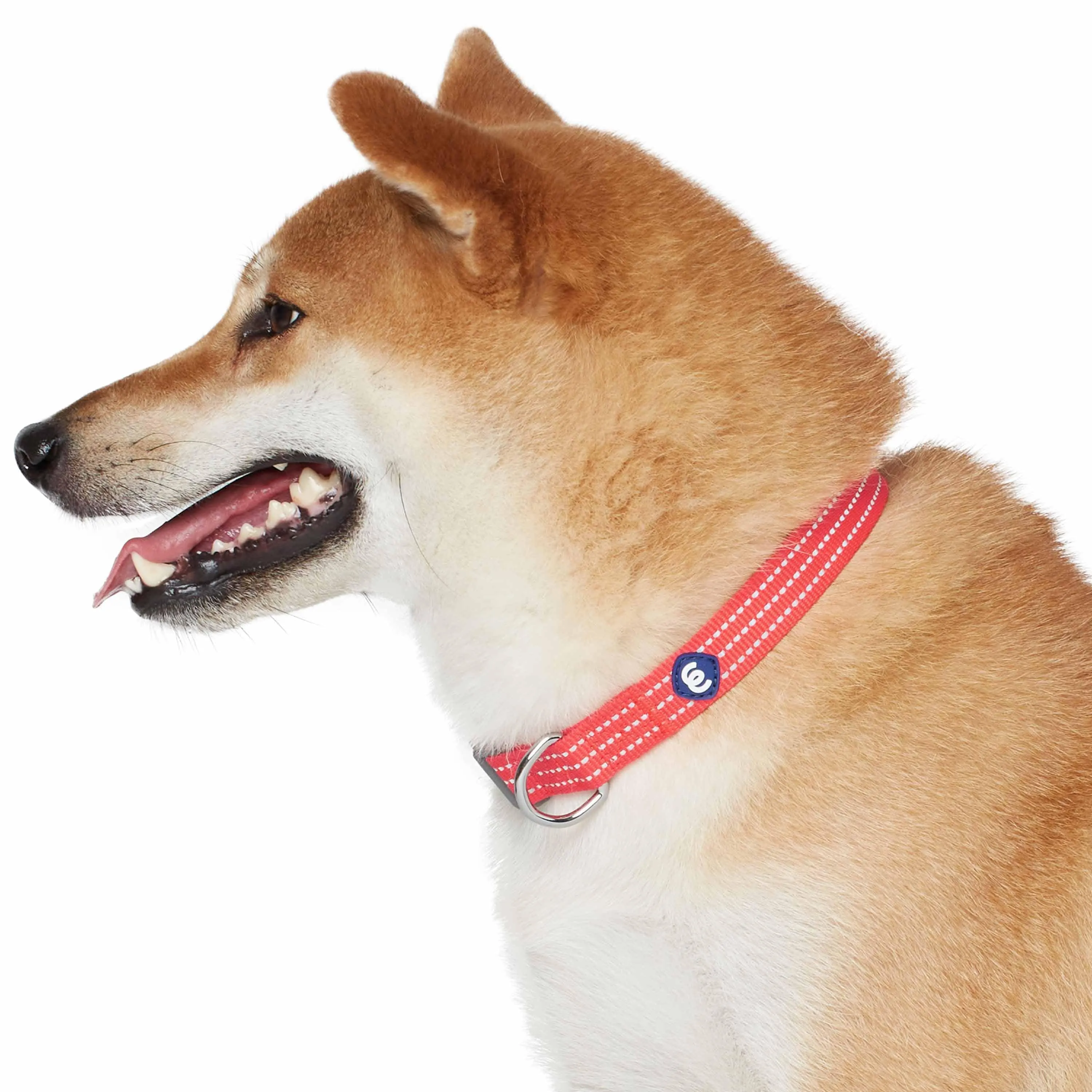 Better Basics Reflective Dog Collar