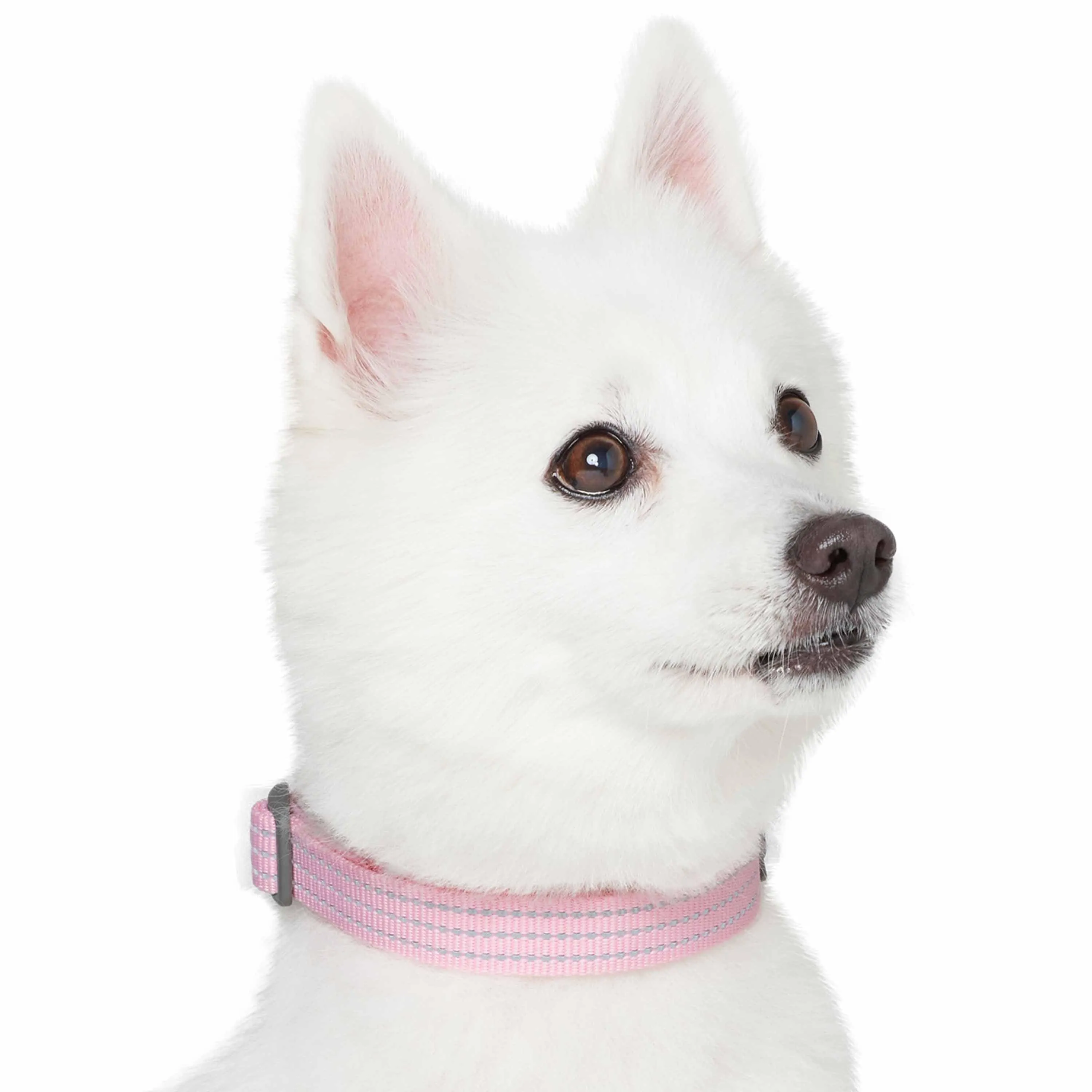 Better Basics Reflective Dog Collar