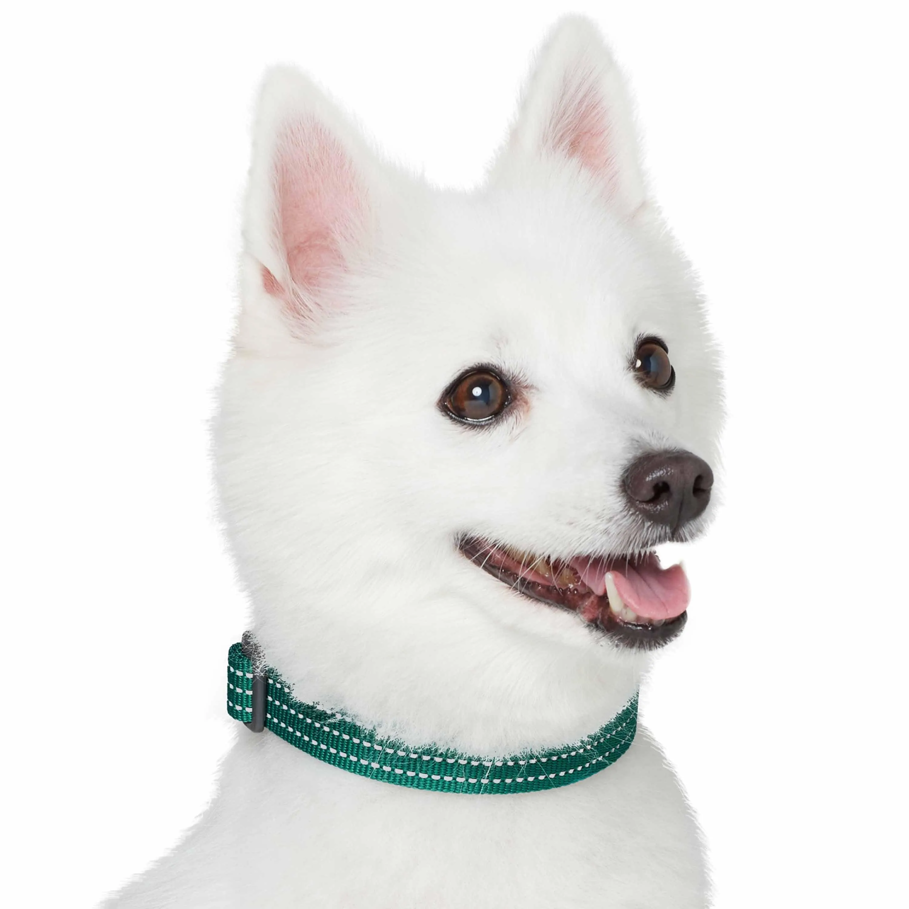 Better Basics Reflective Dog Collar