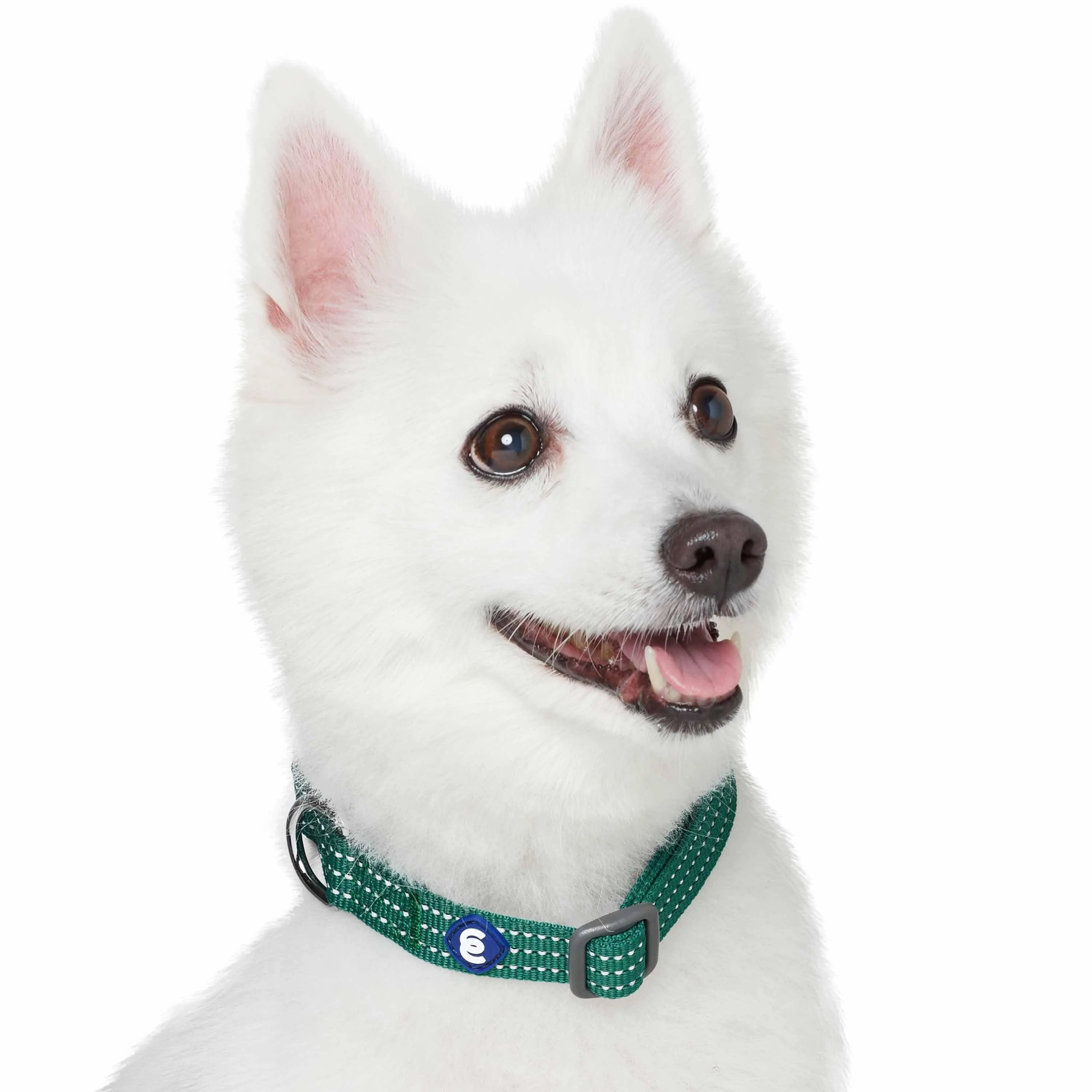 Better Basics Reflective Dog Collar