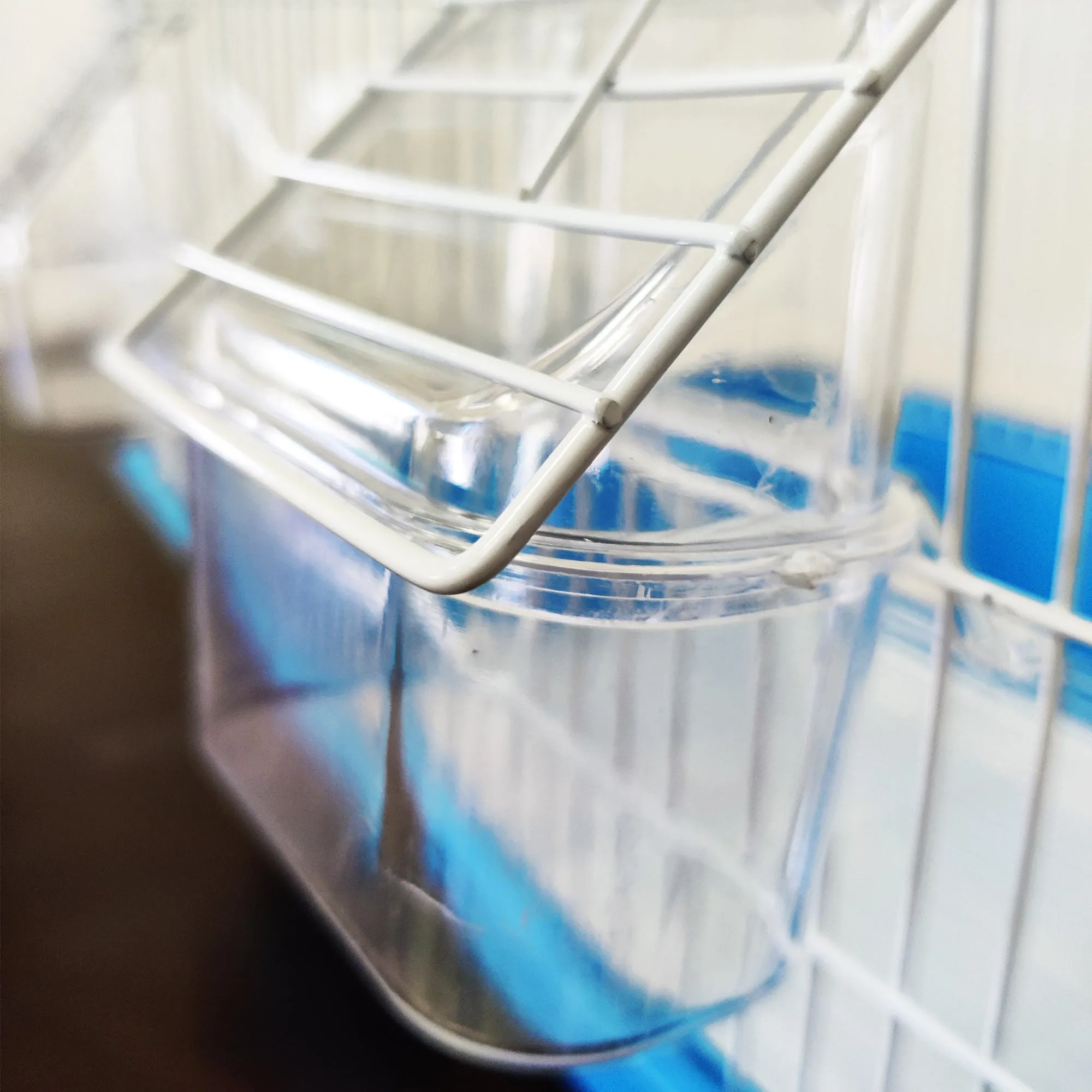 Bird Cage Small Medium Metal Frame Square Roof White Blue 37cm x 28cm x 46cm