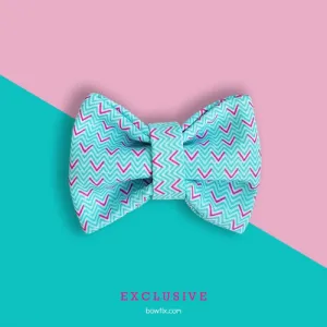 Bowtix Handmade Cat Collar With Removable Bowtie - Zig Zagging
