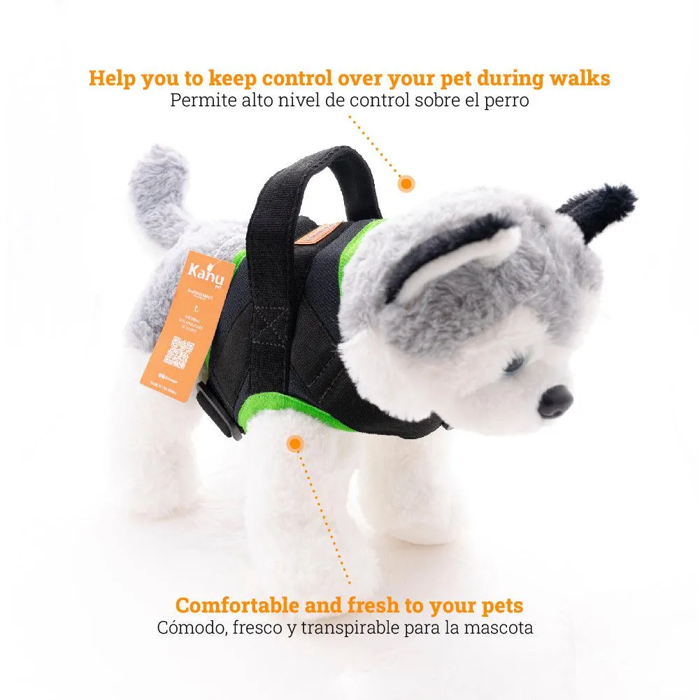 Kanu Pet Bruce Green-Gray Dogs Harness