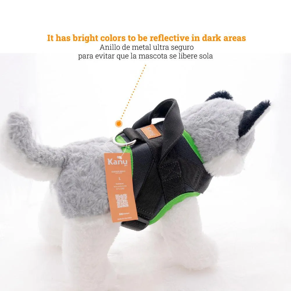 Kanu Pet Bruce Green-Gray Dogs Harness