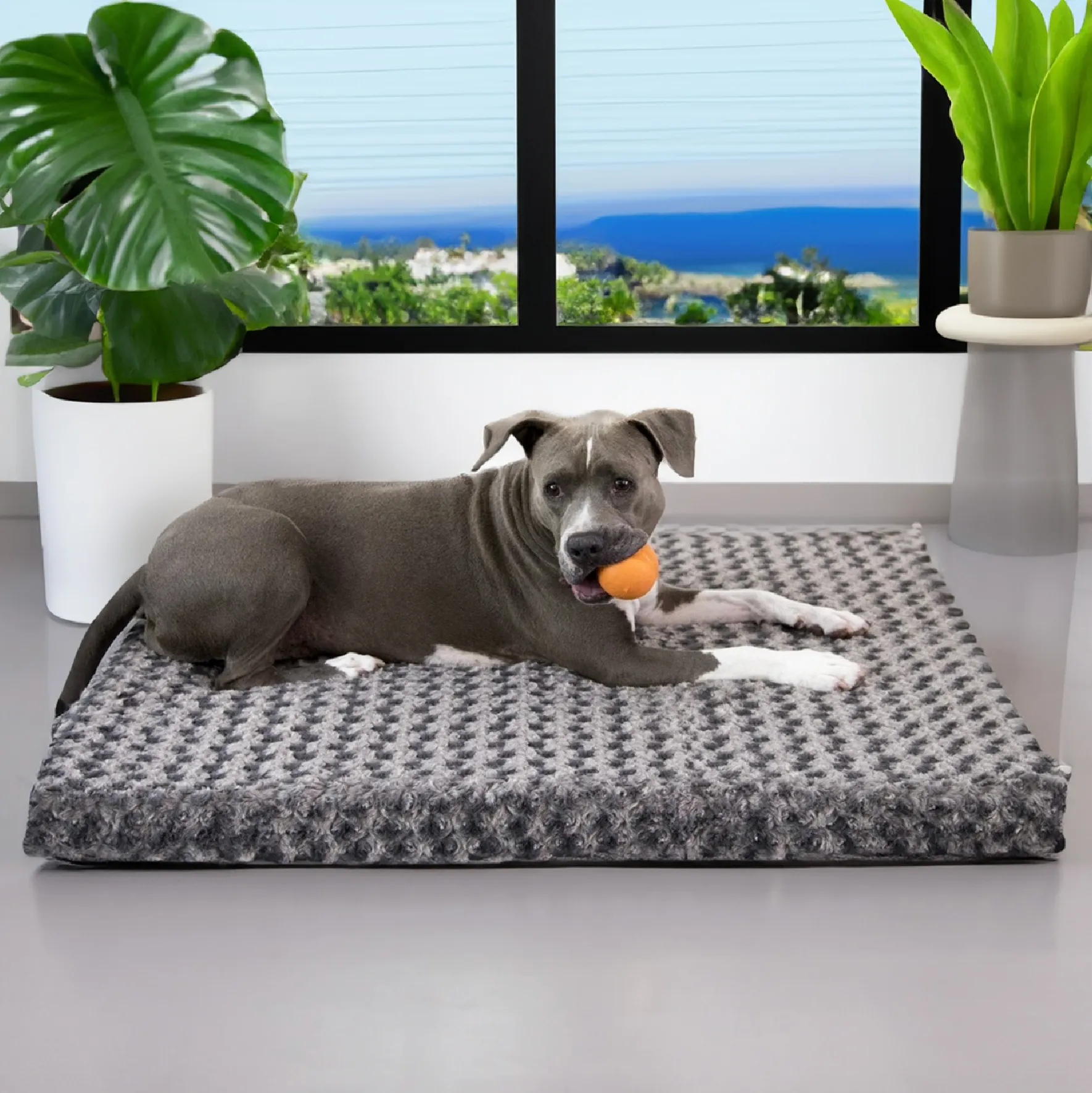 Katie Puff® Ortho Rectangle Companion-Pedic® Luxury Dog Bed