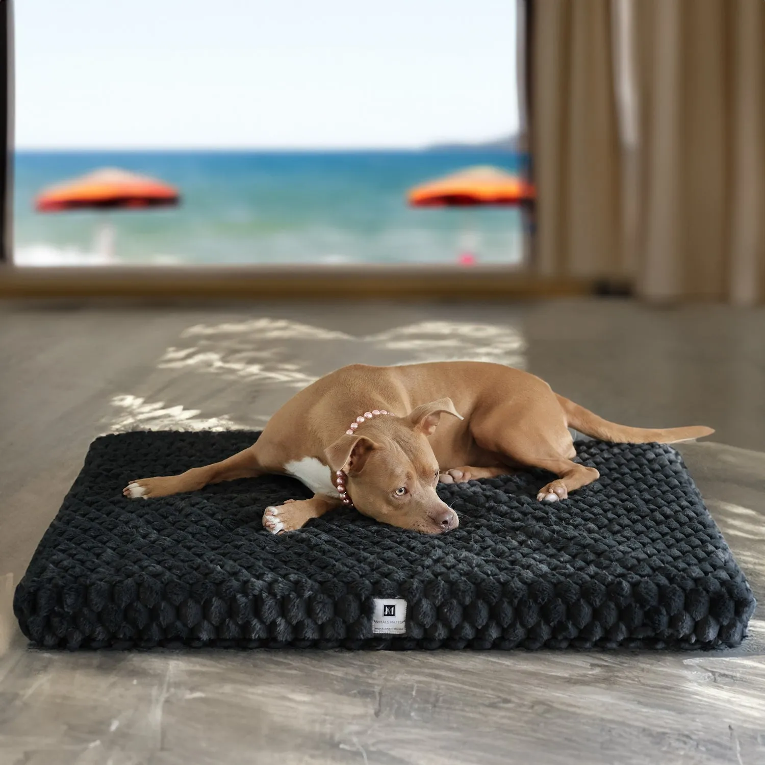 Katie Puff® Ortho Rectangle Companion-Pedic® Luxury Dog Bed