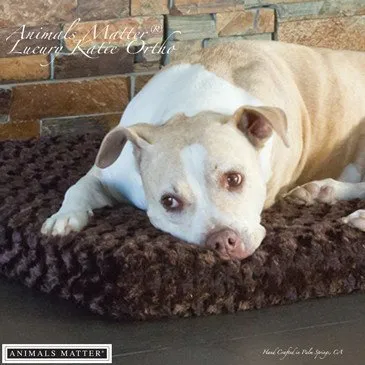Katie Puff® Ortho Rectangle Companion-Pedic® Luxury Dog Bed
