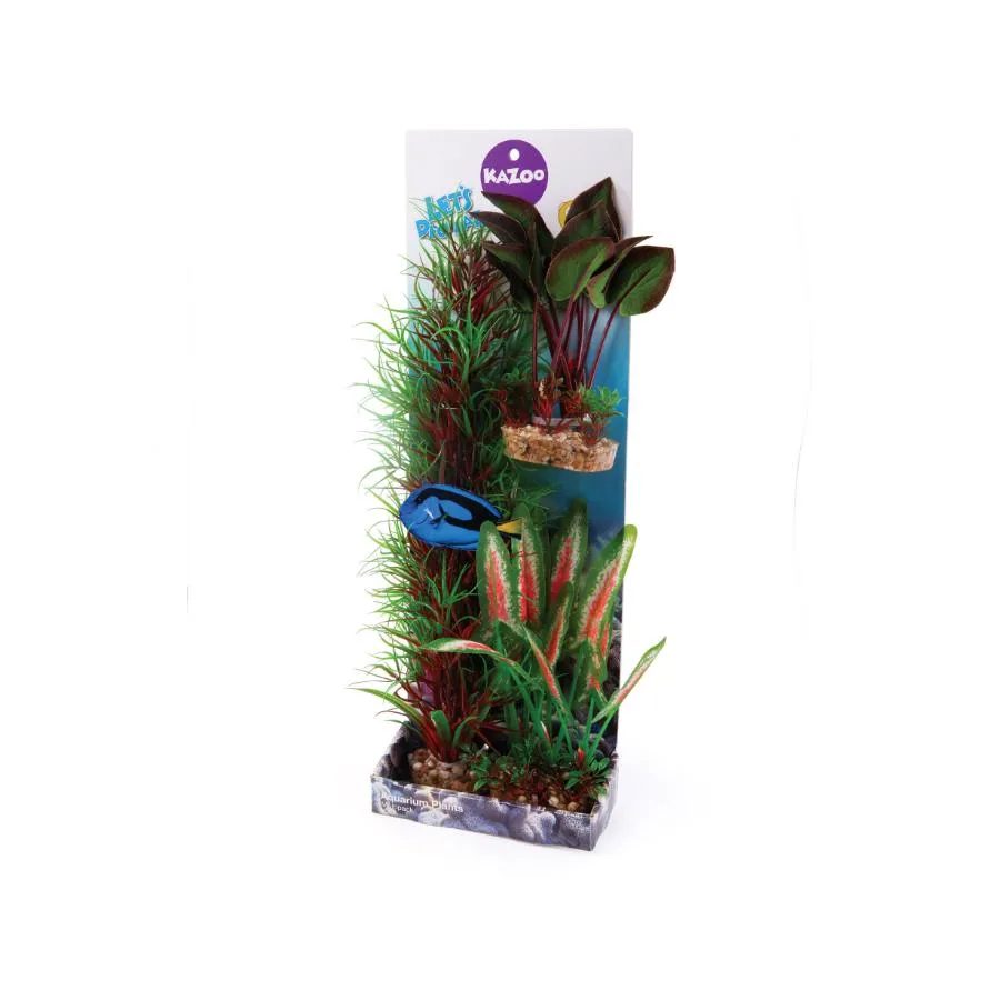 Kazoo Silk Plant Mulitpack 1