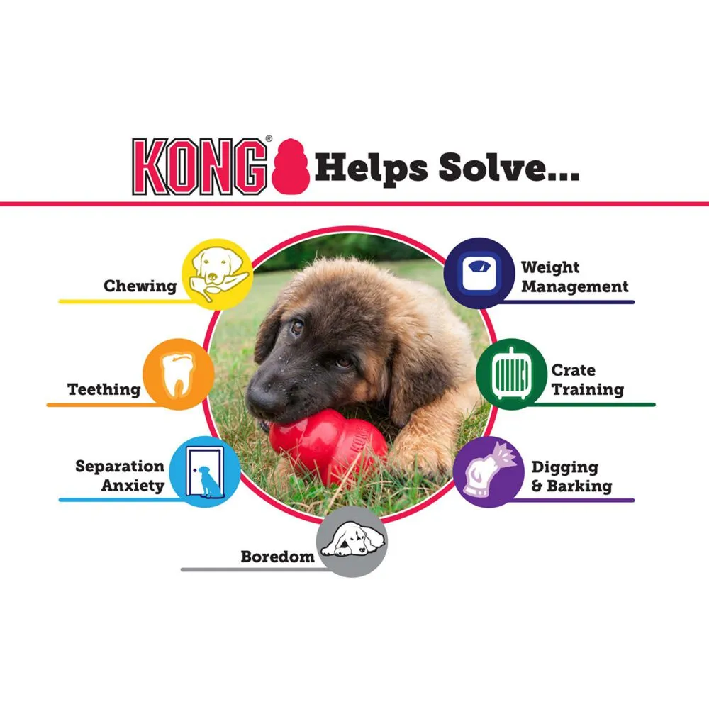 KONG Classic Toy