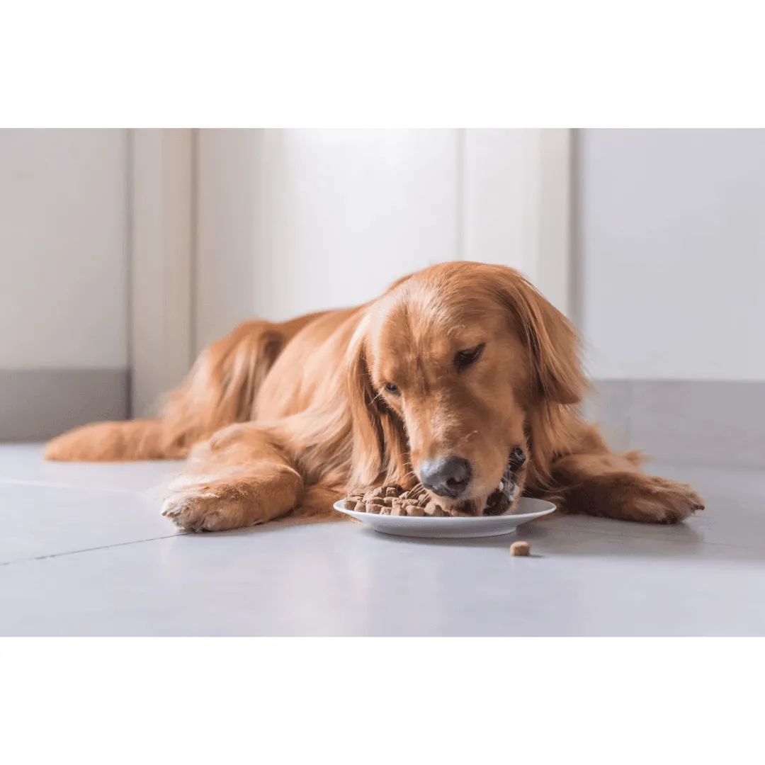 New Zealand Grain-Free Adult Dog Food (15 KG)
