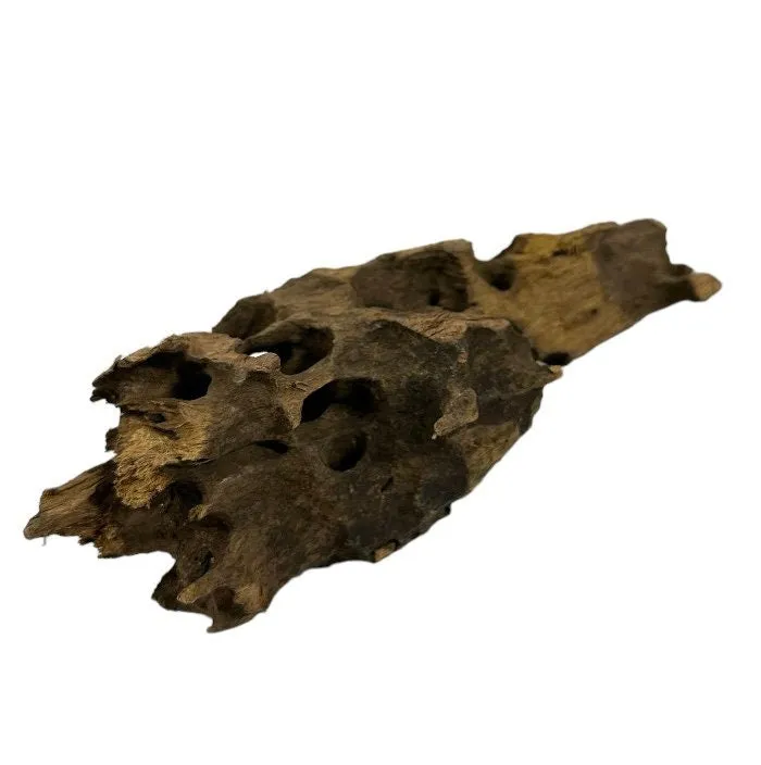 Okho Natural Driftwood - Safe for All Aquariums