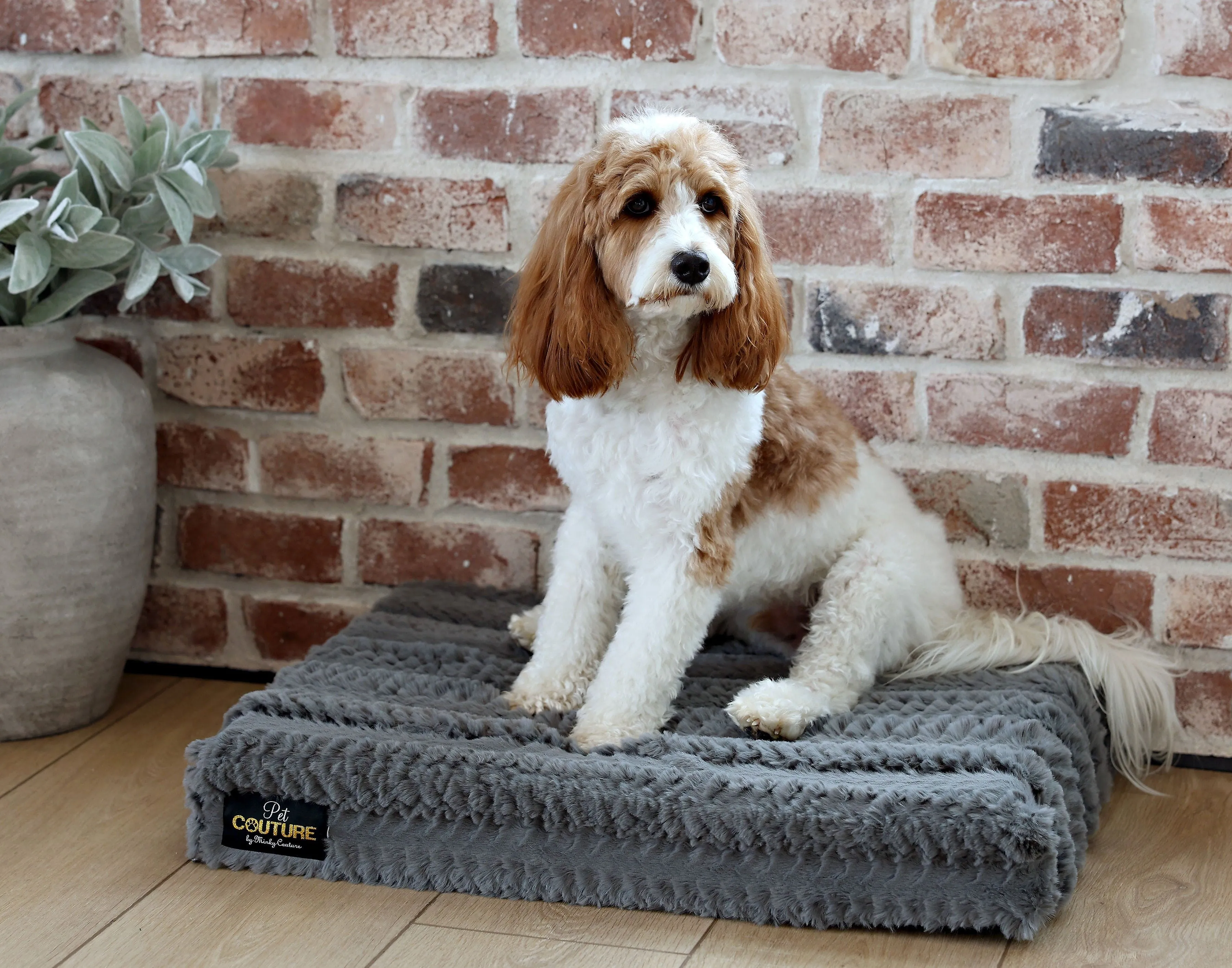 Pet Bed JulesRoche Memory Foam Comfort Crate Pad