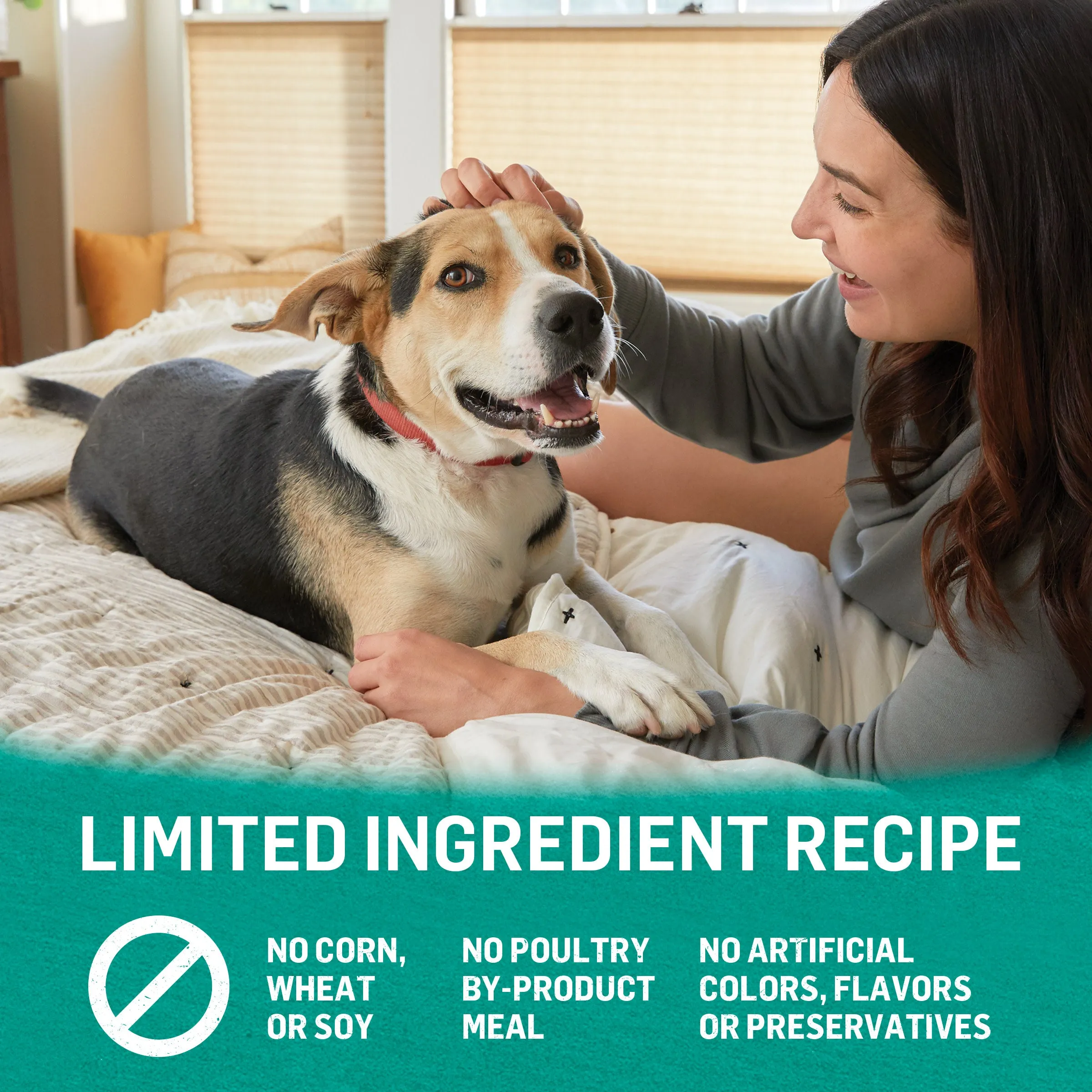 Purina Beyond Natural Wet Dog Food Pate High Protein, Grain Free Alaskan Cod, Salmon & Sweet Potato, 13 oz Can