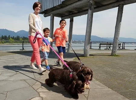 RC Pets Leash Flamingo SALE