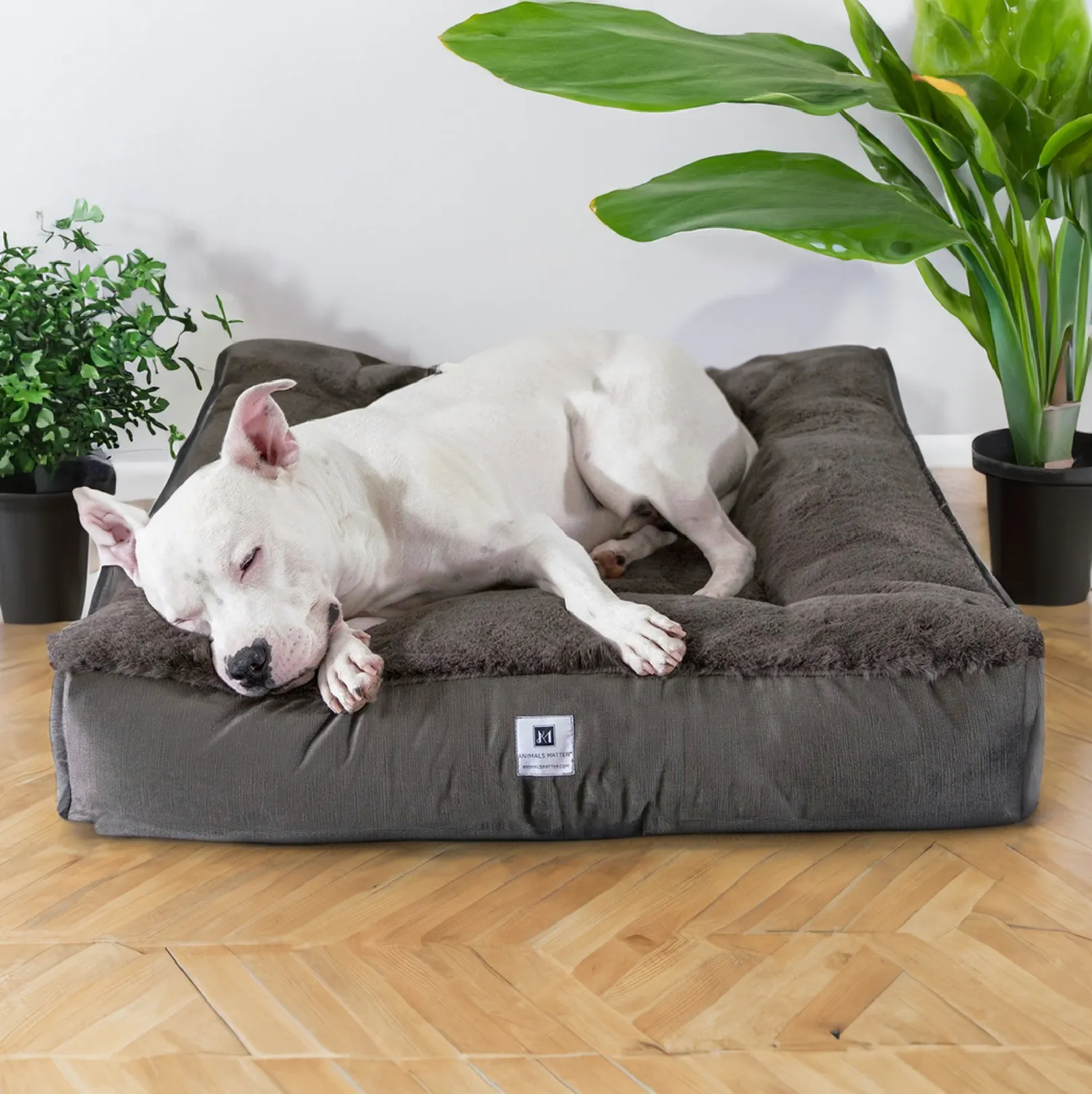 Ruby Puff® Ortho Square Companion-Pedic® Luxury Faux Fur Dog Bed