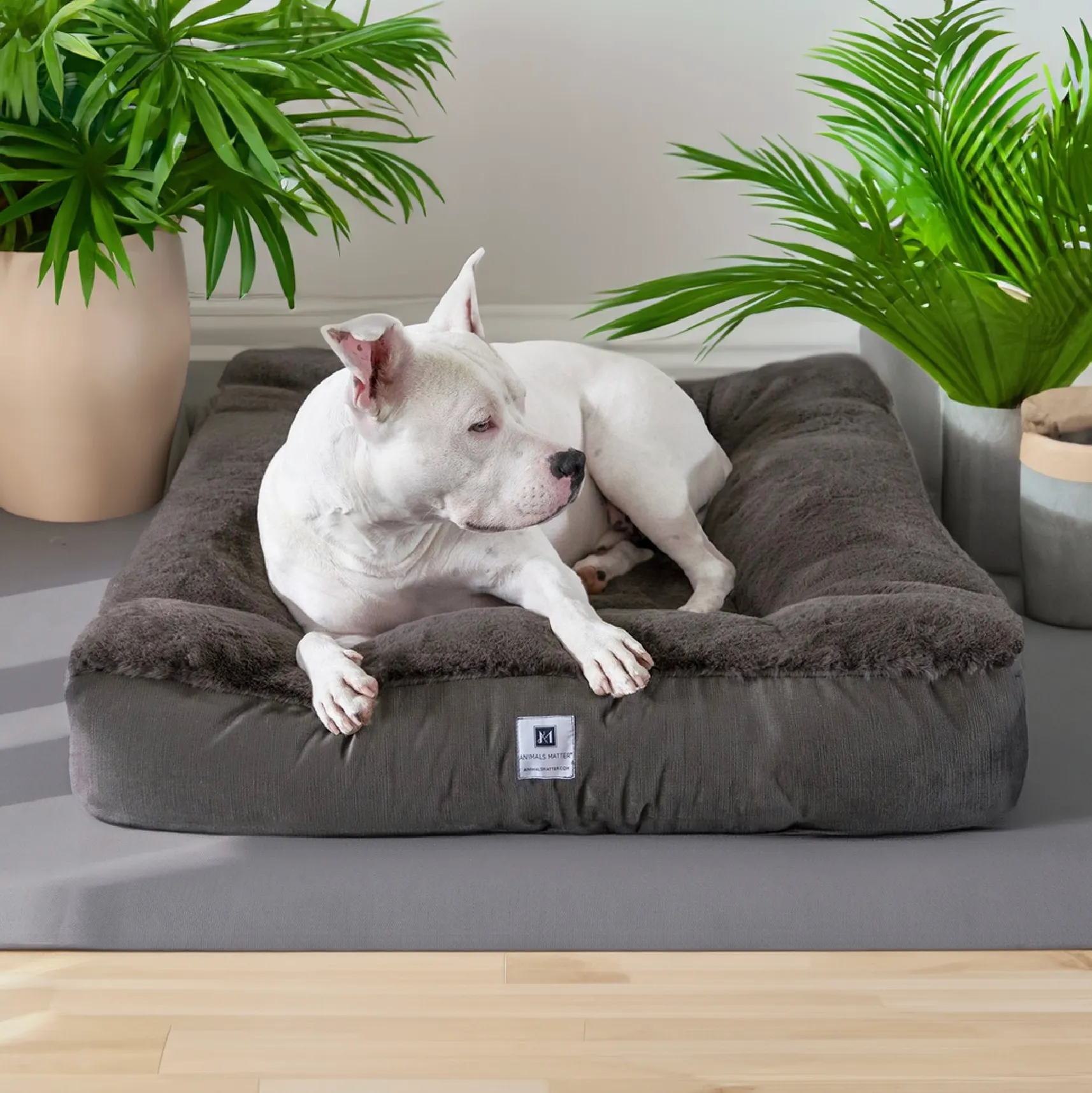 Ruby Puff® Ortho Square Companion-Pedic® Luxury Faux Fur Dog Bed