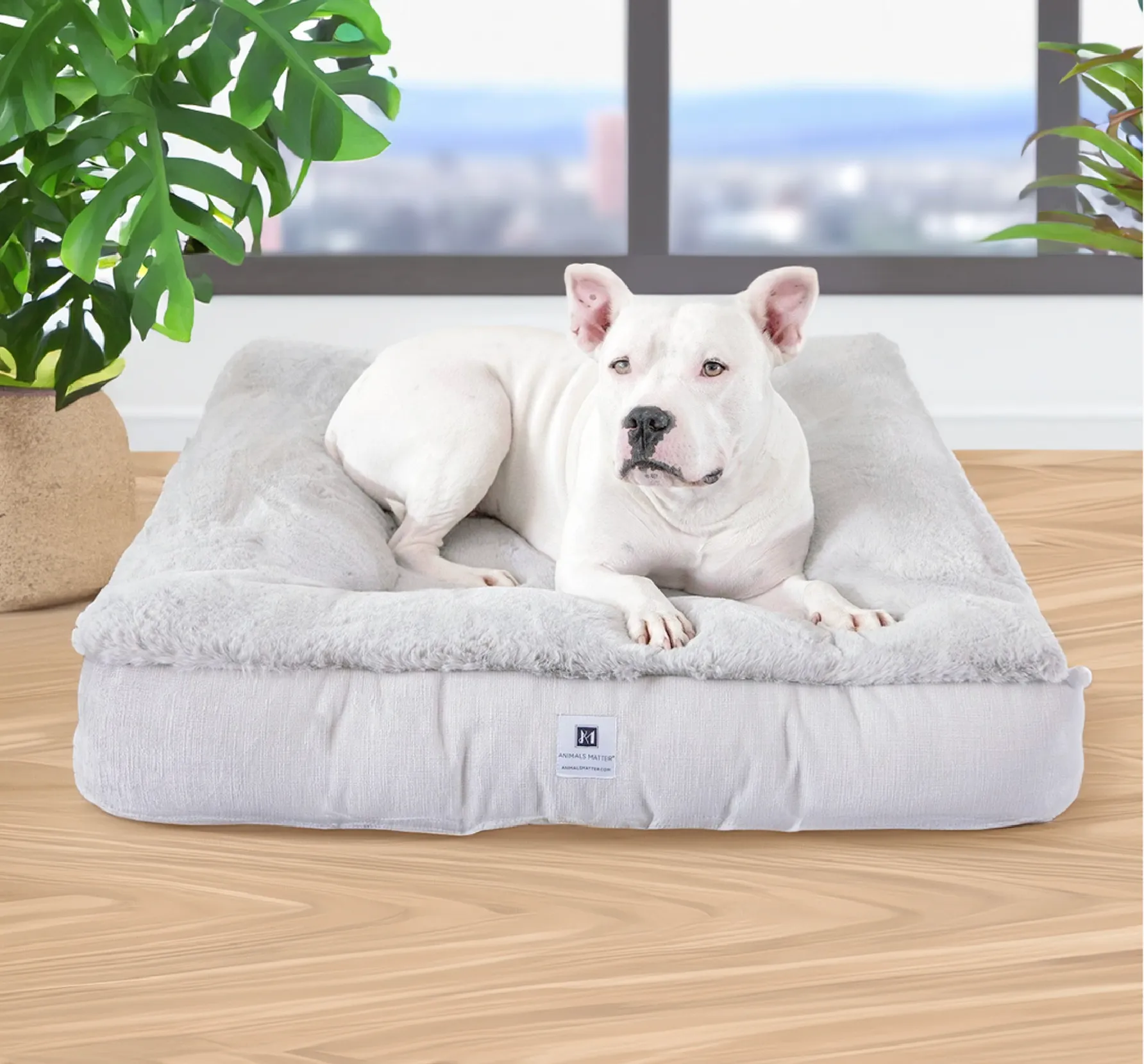 Ruby Puff® Ortho Square Companion-Pedic® Luxury Faux Fur Dog Bed