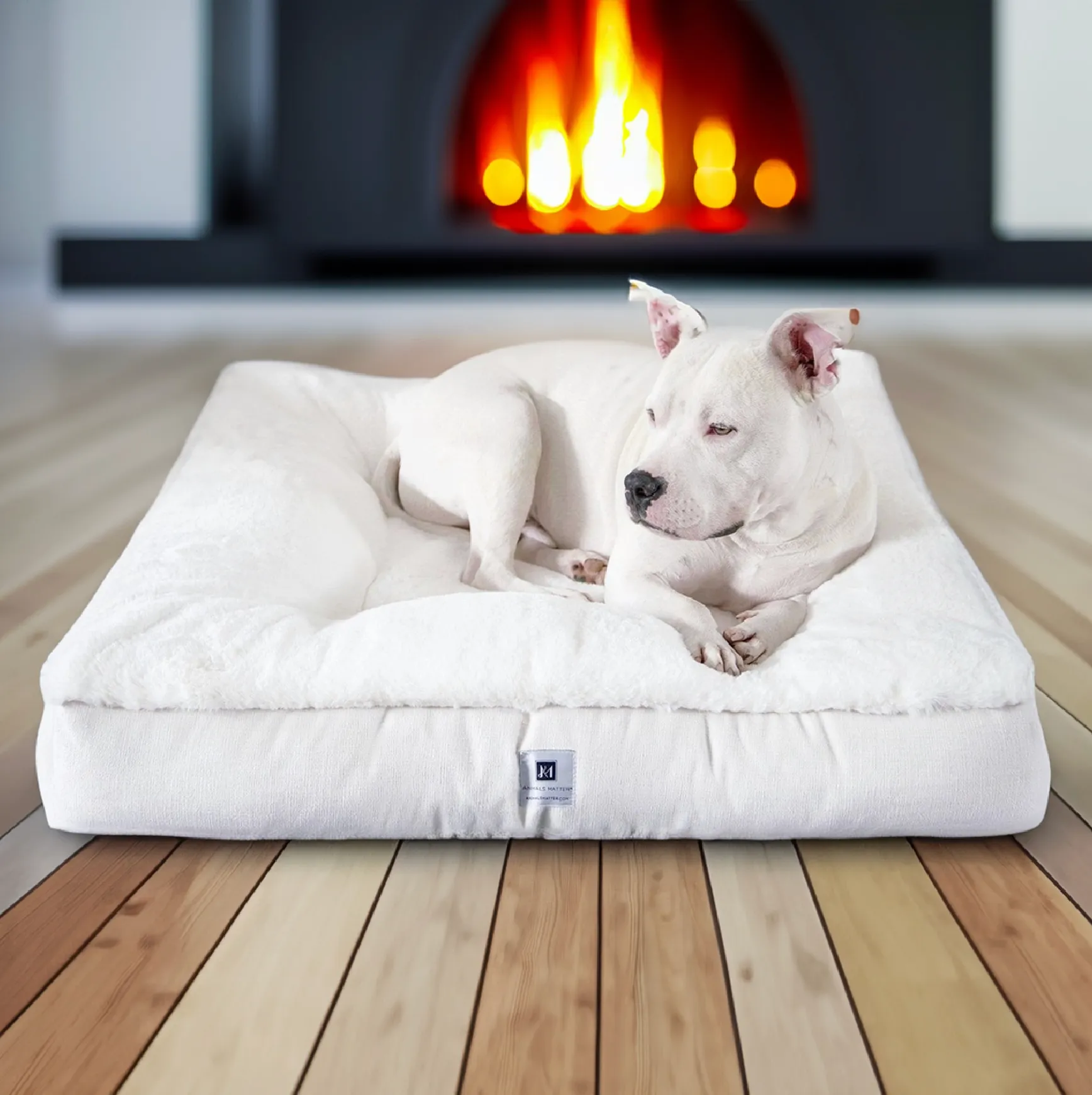 Ruby Puff® Ortho Square Companion-Pedic® Luxury Faux Fur Dog Bed