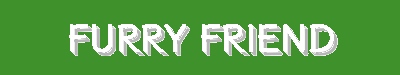 Pet Accessories, Essentials, Supplies & Care – Premium Pet Products for Your Furry Friends